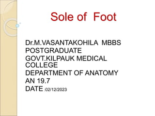 Sole of Foot
Dr.M.VASANTAKOHILA MBBS
POSTGRADUATE
GOVT.KILPAUK MEDICAL
COLLEGE
DEPARTMENT OF ANATOMY
AN 19.7
DATE :02/12/2023
 