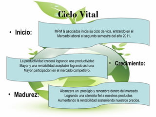Ciclo Vital Inicio: MPM & asociados inicia su ciclo de vida, entrando en el Mercado laboral el segundo semestre del año 2011. La productividad crecerá logrando una productividad Mayor y una rentabilidad aceptable logrando así una  Mayor participación en el mercado competitivo. Alcanzara un  prestigio y renombre dentro del mercado Logrando una clientela fiel a nuestros productos  Aumentando la rentabilidad sosteniendo nuestros precios. Crecimiento: Madurez: 