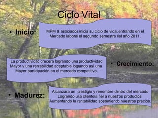 Ciclo Vital Inicio: MPM & asociados inicia su ciclo de vida, entrando en el Mercado laboral el segundo semestre del año 2011. La productividad crecerá logrando una productividad Mayor y una rentabilidad aceptable logrando así una  Mayor participación en el mercado competitivo. Alcanzara un  prestigio y renombre dentro del mercado Logrando una clientela fiel a nuestros productos  Aumentando la rentabilidad sosteniendo nuestros precios. Crecimiento: Madurez: 