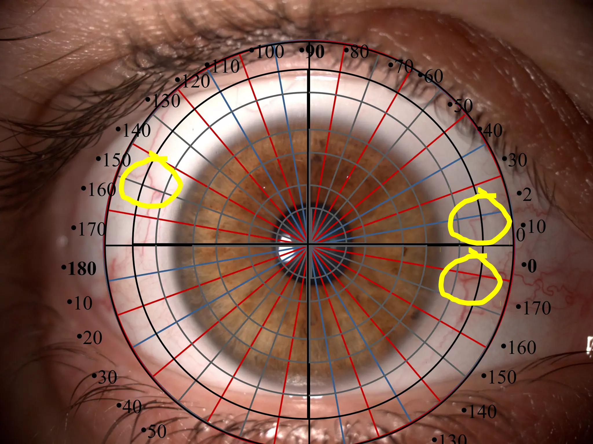 •110
•120
•130
•140
•150
•160

•100 •90 •80

•70 •
60
•50
•40
•30
•2
•
0 10

•170
•180

•0

•10

•170

•20
•30
•40
•50

•160
•150
•140

 