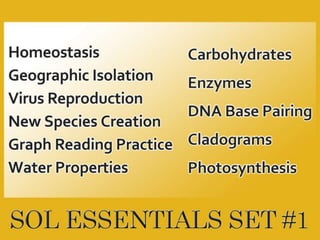 SOL Essentials Set #1