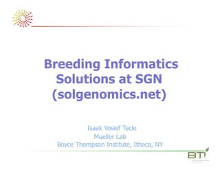 Breeding Informatics
Solutions at SGN
(solgenomics.net)
Isaak Yosief Tecle
Mueller Lab
Boyce Thompson Institute, Ithaca, NY
 