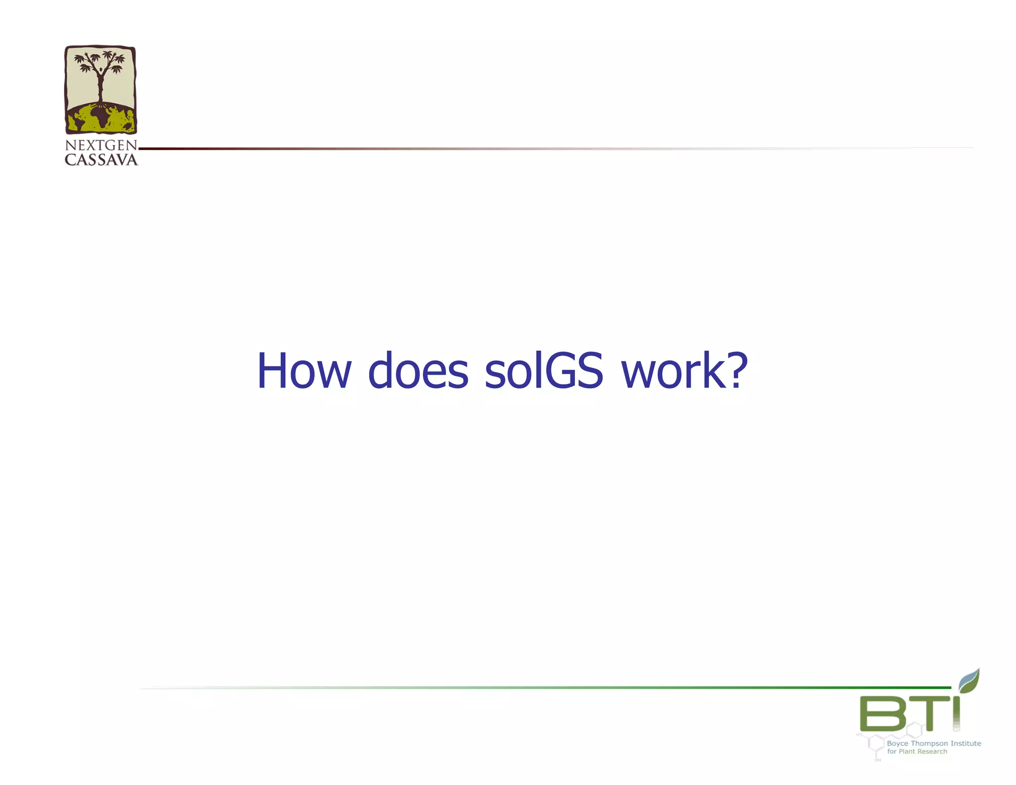 How  does  solGS  work?
 
