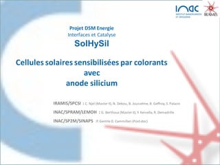 Projet DSM Energie
Interfaces et Catalyse
SolHySil
Cellules solaires sensibilisées par colorants
avec
anode silicium
IRAMIS/SPCSI : C. Njel (Master II), N. Debou, B. Jousselme, B. Geffroy, S. Palacin
INAC/SPRAM/LEMOH : G. Berthoux (Master II), Y. Kervella, R. Demadrille
INAC/SP2M/SINAPS :P. GentileD. Cammilleri (Post-doc)
 
