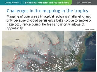 Challenges in fire mapping in the tropics
Mapping of burn areas in tropical region is challenging, not
only because of cloud persistence but also due to smoke or
haze occurrence during the fires and short windows of
opportunity. NASA, MODIS
 