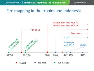 1982/83 1997/98 2015 20192000
Lennertz and
Panzer, 1984
Siegert and
Hoffm
an, 2000
MODIS Burn Area MCD 45
MODIS Burn Area MCD 64
2006
MoEF
GFED4.0
Lohberger,
etal, 2017 LAPAN
2016
Copernicus
Sub NationalGlobal National
Fire mapping in the tropics and Indonesia
 