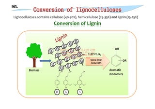 Catalytic Conversion of Biomass using Solid Acid Catalysts | PDF