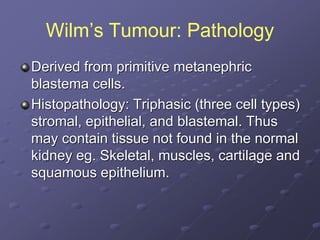 Wilm’s Tumour: Pathology
Derived from primitive metanephric
blastema cells.
Histopathology: Triphasic (three cell types)
stromal, epithelial, and blastemal. Thus
may contain tissue not found in the normal
kidney eg. Skeletal, muscles, cartilage and
squamous epithelium.
 