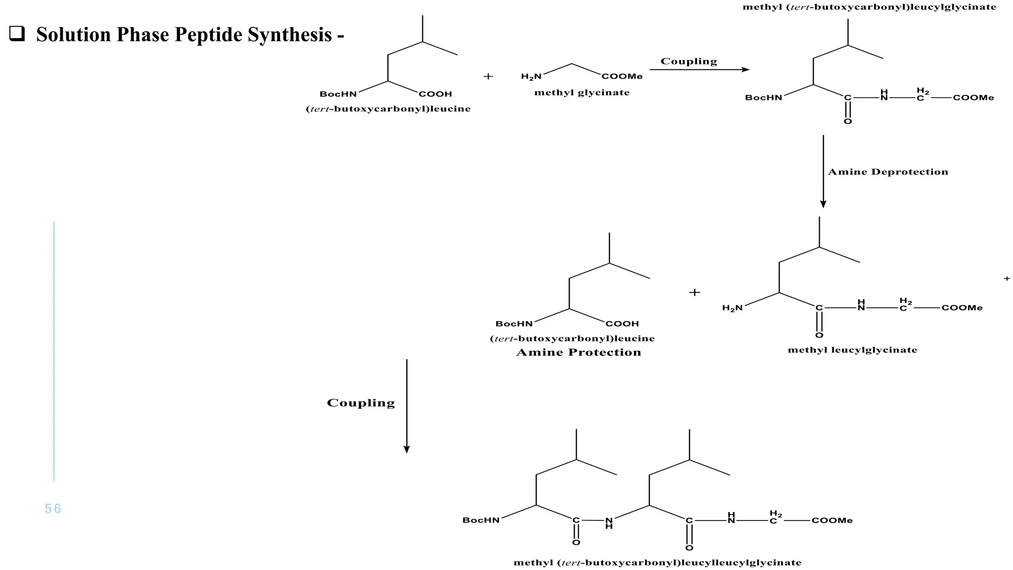 5 6
 Solution Phase Peptide Synthesis -
 