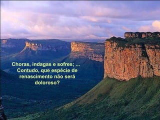 Choras, indagas e sofres; ...  Contudo, que espécie de renascimento não será doloroso? 