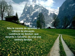 Não te canses de aprender a ciência da elevação. Lembra-te do Senhor. que escalou o Calvário. de cruz aos ombros feridos. 