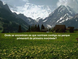 Onde se encontram os que sorriram contigo no parque primaveril da primeira mocidade?  