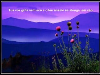 Tua voz grita sem eco e o teu anseio se alonga ,em vão. 