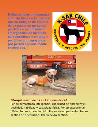K-Sar chile es una corpora-
ción sin fines de lucros que
realiza trabajos de búsque-
da y rescate de personas
perdidas o sepultadas en
emergencias de diversas
características y en todo ti-
po de terreno, apoyados
por perros especialmente
entrenados.
¿Porqué usar perros en Latinoamérica?
Por su demostrada inteligencia, capacidad de aprendizaje,
docilidad, habilidad y capacidad física. Por su excepcional
olfato. Por su excelente oído. Por su visión particular. Por su
sentido de orientación. Por su sexto sentido.
 