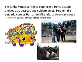 Em Junho vamos a Atenor conhecer a Hera, os seus
amigos e as pessoas que cuidam deles. Será um dia
passado com os Burros de Miranda. Os primeiros 50 alunos a
inscreverem-se nesta atividade terão um dia feliz!
 