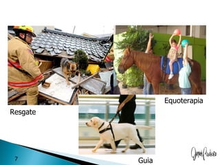 Equoterapia
Resgate




 7        Guia
 