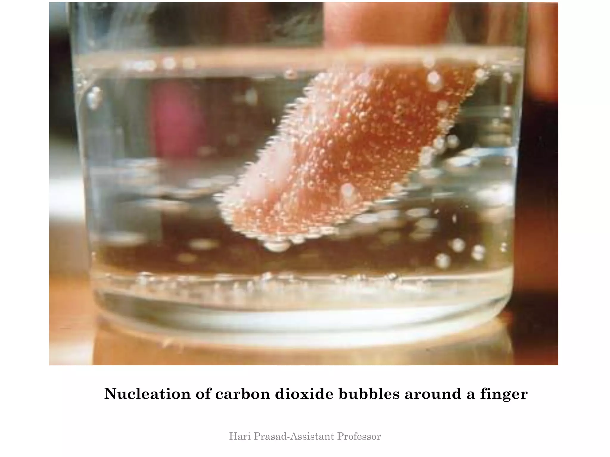 Nucleation of carbon dioxide bubbles around a finger
Hari Prasad-Assistant Professor
 