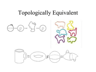 Topologically Equivalent
 
