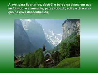A ave, para libertar-se, destrói o berço da casca em que se formou, e a semente, para produzir, sofre a dilacera-ção na cova desconhecida. 