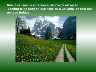 Não te canses de aprender a ciência da elevação. Lembra-te do Senhor. que escalou o Calvário, de cruz aos ombros feridos. 