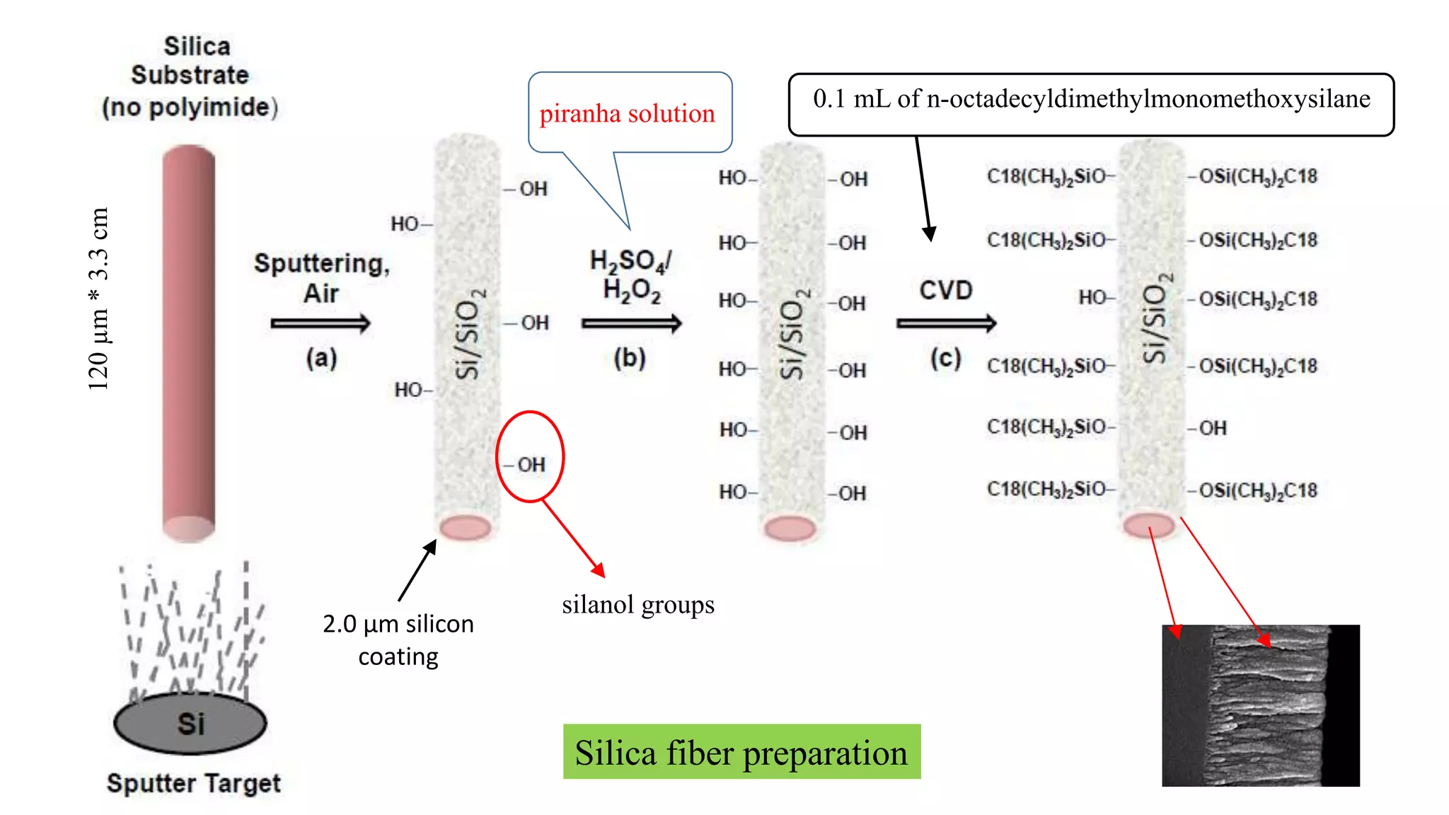 piranha solution
0.1 mL of n-octadecyldimethylmonomethoxysilane
silanol groups
120µm*3.3cm
Silica fiber preparation
2.0 μm silicon
coating
 