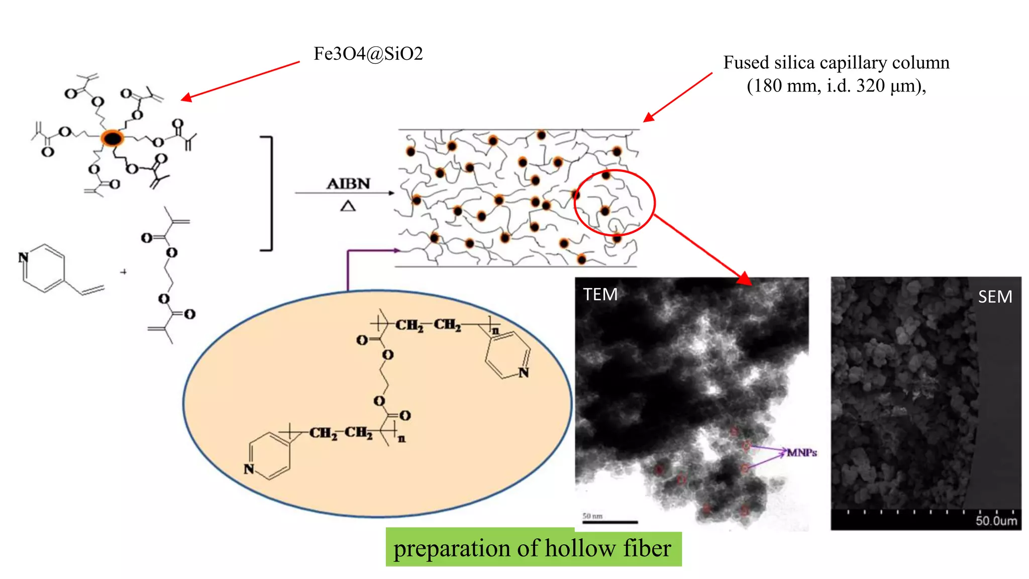 Fused silica capillary column
(180 mm, i.d. 320 μm),
Fe3O4@SiO2
preparation of hollow fiber
TEM SEM
 