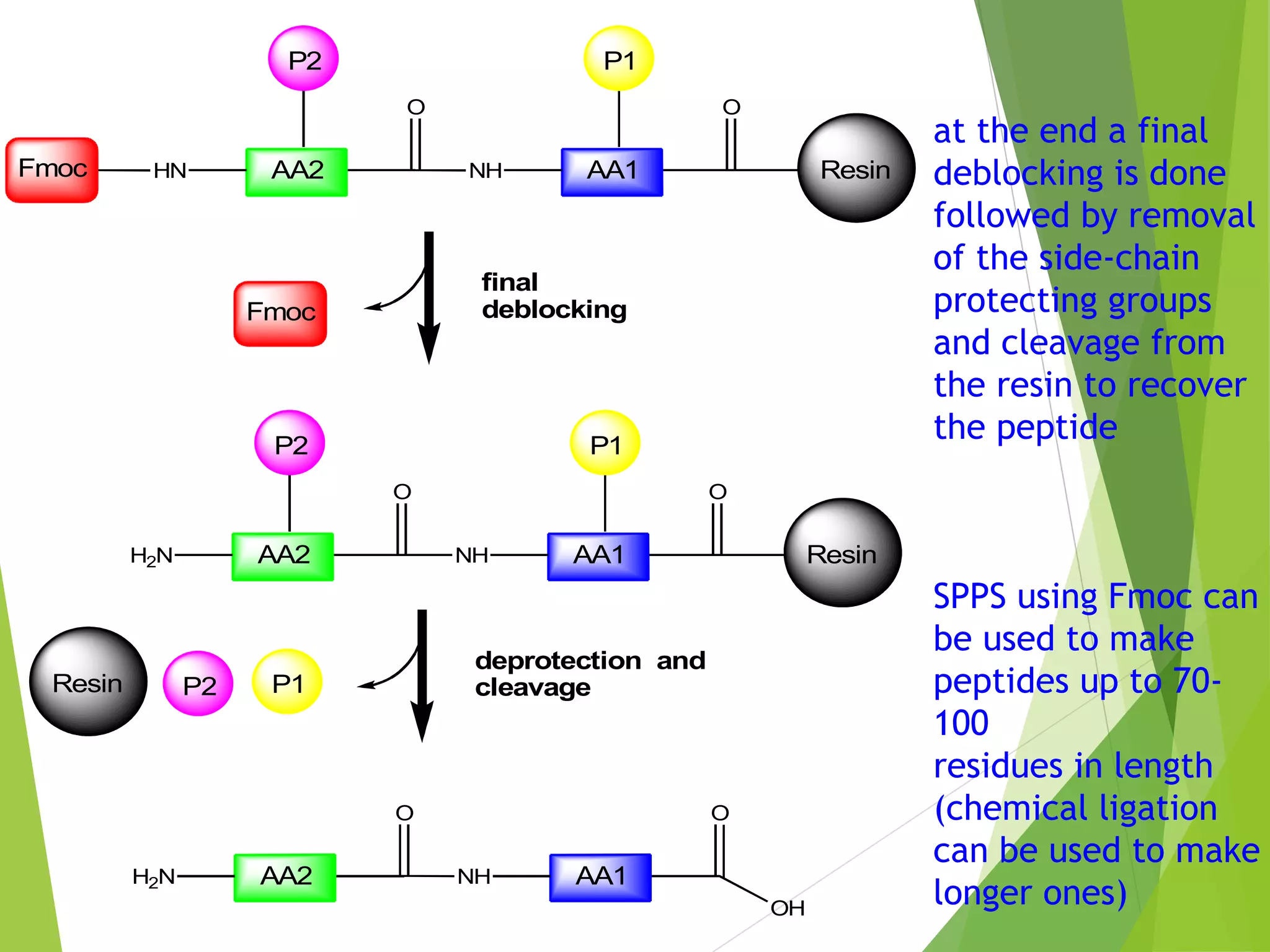 Solid phase peptide synthesis | PPT