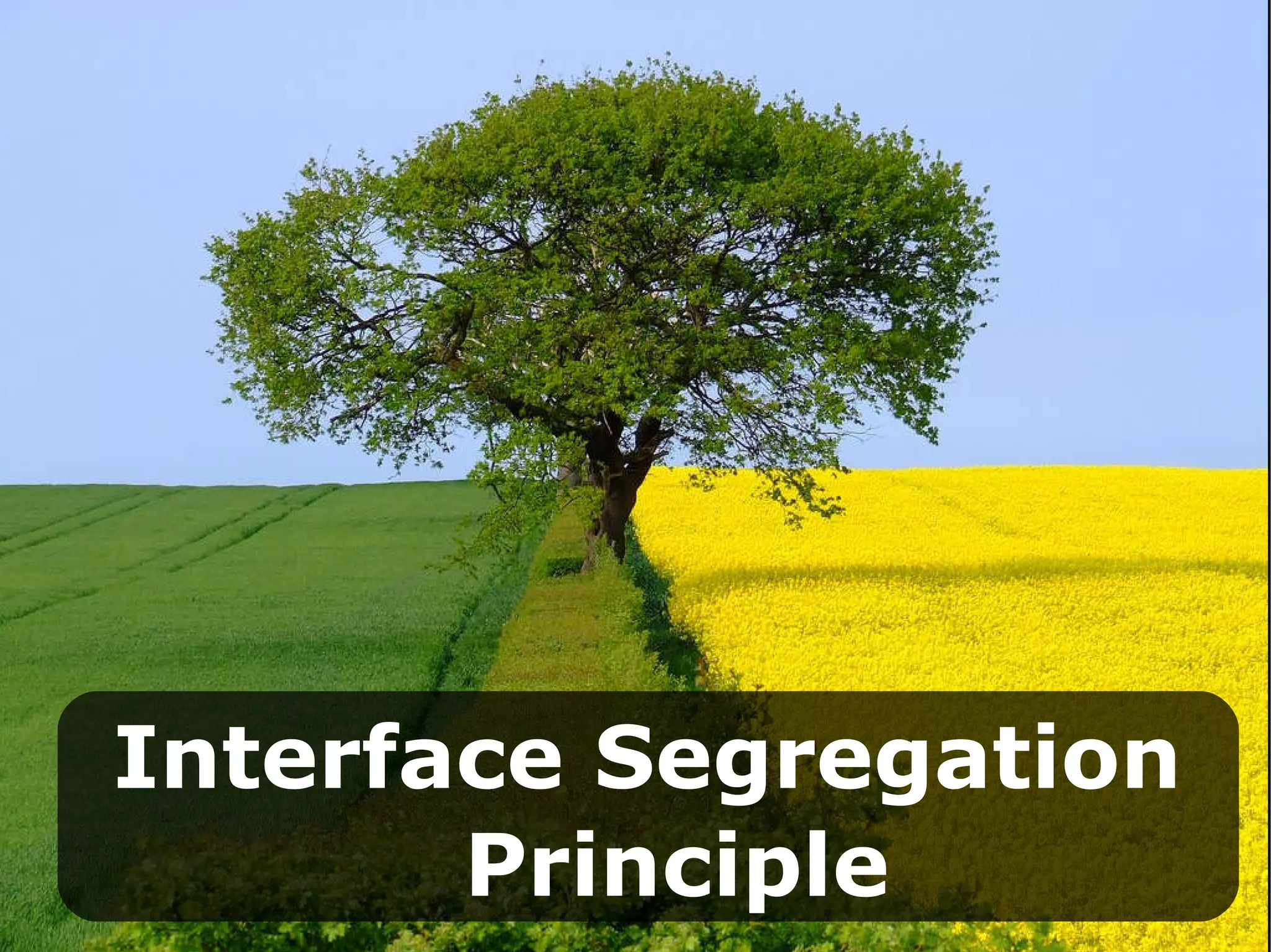Interface Segregation   Principle 