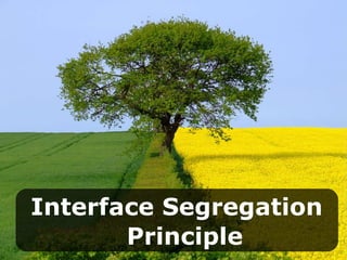 Interface Segregation   Principle 