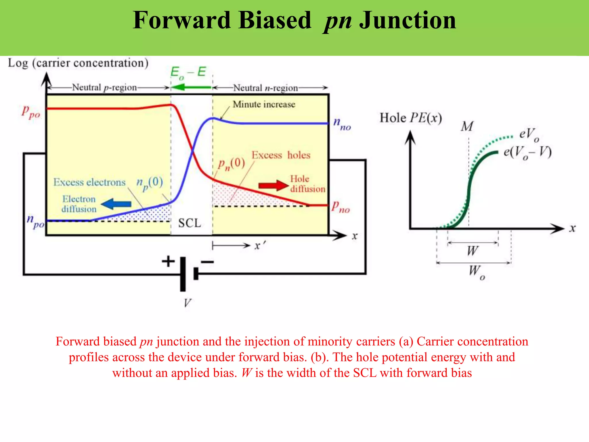 Forward biased pn junction and the injection of minority carriers (a) Carrier concentration
profiles across the device under forward bias. (b). The hole potential energy with and
without an applied bias. W is the width of the SCL with forward bias
Forward Biased pn Junction
 