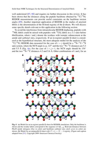 well understood [87, 88] and requires no further discussion in this review. It has
been shown that the distances along the peptide backbone obtained by 13
C{15
N}
REDOR measurements can provide useful constraints on the backbone torsion
angles [89]. Another important application of REDOR in the studies of amyloid
ﬁbrils is the determination of the H-bond registry of the b-sheets. We will discuss
some speciﬁc details relevant to this application in the following section.
To avoid the interference from intramolecular REDOR dephasing, peptides with
15
NHi labels could be mixed with peptides with 13
COj labels in a 1:1 ratio before
ﬁbrillization, where i and j denote the residues with isotopic enhancement at the
amide and carbonyl sites, respectively. If an in-register parallel b-sheet is consid-
ered as the hypothetical structure, the most adequate model for the analysis of the
13
C{15
N} REDOR data measured for the case of i ¼ j should be a 15
N–13
C–15
N
spin system, where the NCN angle is ca. 127
and the two 15
N–13
C distances are 5.3
and 5.5 A˚ (Fig. 4a). For the case of i ¼ j + 1, the NCN angle should be 154
and the two 15
N–13
C distances 4.2 and 5.6 A˚ . Other combinations of i and j for an
Fig. 4 (a) Model for an in-register parallel b-sheet for REDOR simulations. Only the backbone is
shown and the residue labels correspond to the sequence of Ab1À40. Relevant distances between
Phe20 amide nitrogens (blue in color) and backbone carbonyl sites (dark green in color) are
shown. (b) Model for an antiparallel b-sheet with 17 + k $ 21 À k registry. (Figure and caption
adapted from [51]. Copyright 2009 American Chemical Society)
Solid-State NMR Techniques for the Structural Determination of Amyloid Fibrils 59
 