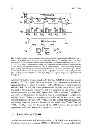 carbonyl 13
C nuclear spin polarization by the ﬁnal fsREDOR pulse train during
period t2. 13
C NMR signals that arise from the DSQ coherences are selected by
appropriate phase cycling of rf pulses in t1 and t2. This technique has the acronym
DSQ-REDOR. The DSQ-REDOR data obtained for the ﬁbril sample formed by the
fragment of Ure2p prion protein (13
C and 15
N uniformly labeled at Gln18) are
consistent with the structural motif of polar zipper [45]. In addition, DSQ-REDOR
can also be used to determine the backbone f and c angles for peptide samples with
uniform 13
C and 15
N labels at two consecutive residues [101]. The idea is to create
the DSQ coherences for the 13
COi–15
NHi+1 pair. The excited DSQ coherences are
then evolved under the inﬂuence of the dipolar interactions of the 15
NHi–13
COi and
15
NHi+1–13
COi+1. Thus, the dephasing of the DSQ coherence has an implicit
dependence on the backbone torsion angles of fi+1 and ci.
3.4 Band-Selective TEDOR
Another useful technique which is closely related to fsREDOR is the band-selective
transferred echo double resonance (BASE TEDOR) [102]. As shown in Fig. 6, the
Fig. 5 Radio frequency pulse sequences for measurements of S1 and S2 in DSQ-REDOR experi-
ments. The MAS period tR is 100 ms. XY represents a train of 15
N p pulses with XY-16 phase
patterns [98]. TPPM represents two-pulse phase modulation [99]. In these experiments, M ¼ N1 ¼ 4,
N2 + N3 ¼ 48, and N2 is incremented from 0 to 48 to produce effective dephasing times from 0 to
9.6 ms. Signals arising from intraresidue 15
N–13
C DSQ coherence (S1) are selected by standard
phase cycling. Signal decay due to the pulse imperfection of 15
N pulses is estimated by S2. Decay
due to the intermolecular 15
N–13
C dipole–dipole couplings is calculated as S1(N2)/S2(N2). The
phase cycling scheme can be found in the original ﬁgure and caption. (Figure and caption adapted
from [45])
62 J.C.C. Chan
 