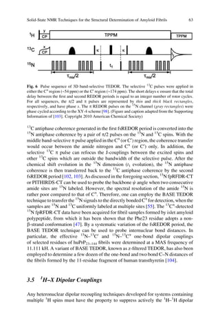 13
C antiphase coherence generated in the ﬁrst fsREDOR period is converted into the
15
N antiphase coherence by a pair of p/2 pulses on the 15
N and 13
C spins. With the
middle band-selective p pulse applied in the Ca
(or C0
) region, the coherence transfer
would occur between the amide nitrogen and Ca
(or C0
) only. In addition, the
selective 13
C p pulse can refocus the J-couplings between the excited spins and
other 13
C spins which are outside the bandwidth of the selective pulse. After the
chemical shift evolution in the 15
N dimension (t1 evolution), the 15
N antiphase
coherence is then transferred back to the 13
C antiphase coherence by the second
fsREDOR period [102, 103]. As discussed in the foregoing section, 15
N fpRFDR-CT
or PITHIRDS-CT can be used to probe the backbone c angle when two consecutive
amide sites are 15
N labeled. However, the spectral resolution of the amide 15
N is
rather poor compared to that of Ca
. Therefore, one can employ the BASE TEDOR
technique to transfer the 15
N signals to the directly bonded Ca
for detection, when the
samples are 15
N and 13
C uniformly labeled at multiple sites [55]. The 13
Ca
-detected
15
N fpRFDR-CT data have been acquired for ﬁbril samples formed by islet amyloid
polypeptide, from which it has been shown that the Phe23 residue adopts a non-
b-strand conformation [47]. By a systematic variation of the fsREDOR period, the
BASE TEDOR technique can be used to probe internuclear bond distances. In
particular, the effective 15
N–13
C0
and 15
N–13
Ca
one-bond dipolar couplings
of selected residues of huPrP23–144 ﬁbrils were determined at a MAS frequency of
11.111 kH. A variant of BASE TEDOR, known as z-ﬁltered TEDOR, has also been
employed to determine a few dozen of the one-bond and two bond C–N distances of
the ﬁbrils formed by the 11-residue fragment of human transthyretin [104].
3.5 1
H–X Dipolar Couplings
Any heteronuclear dipolar recoupling techniques developed for systems containing
multiple 1
H spins must have the property to suppress actively the 1
H–1
H dipolar
Fig. 6 Pulse sequence of 3D band-selective TEDOR. The selective 13
C pulses were applied in
either the Ca
region (~54 ppm) or the C0
region (~174 ppm). The short delays k ensure that the total
delay between the ﬁrst and second REDOR periods is equal to an integer number of rotor cycles.
For all sequences, the p/2 and p pulses are represented by thin and thick black rectangles,
respectively, and have phase x. The p REDOR pulses on the 15
N channel (gray rectangles) were
phase cycled according to the XY-4 scheme [98]. (Figure and caption adapted from the Supporting
Information of [103]. Copyright 2010 American Chemical Society)
Solid-State NMR Techniques for the Structural Determination of Amyloid Fibrils 63
 