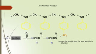 The Merrifield Procedure
Remove the peptide from the resin with HBr in
CF3CO2H
CH2 CH2 CH2 CH2
CH CH CH CH
CH2
NHCHCO
R
O
NHCHC
R'
O
C
O
+
H3N peptide
 