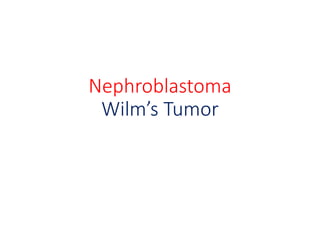 Nephroblastoma
Wilm’s Tumor
 