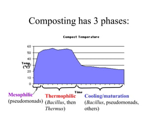 Composting has 3 phases:




Mesophilic     Thermophilic      Cooling/maturation
(pseudomonads) (Bacillus, then   (Bacillus, pseudomonads,
               Thermus)          others)
 