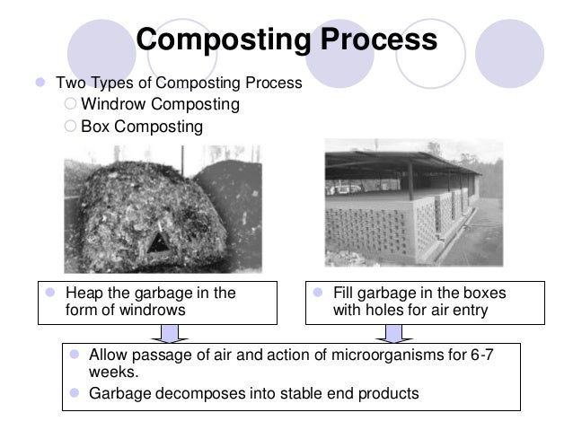 composting windrow