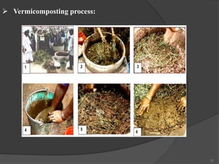 22
 Vermicomposting process:
 