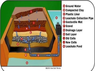Solid waste management | PPT