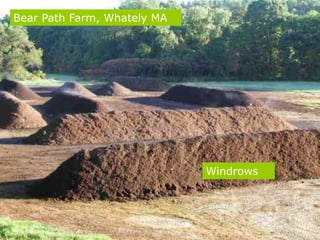 Windrows
Bear Path Farm, Whately MA
 