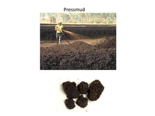 Pressmud
 