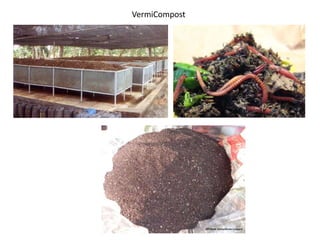 VermiCompost
 
