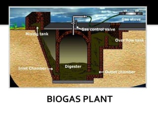BIOGAS PLANT
 