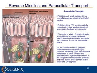 Paracellular Transport Peptides and  small proteins do not normally penetrate intestinal epithelial barriers Tight junctions  (TJ) are inter-cellular contact points that regulate intestinal absorption of solutes and nutrients TJ consist of a belt of protein strands and lipids that surround the lateral membrane of epithelial cells and seals the outermost end of the intercellular space. In the presence of LPM (polymer stabilized reverse micelles) tight junctions transiently open and allow the penetration of small proteins and peptides with a hydrodynamic radius in the range of small molecules, proteins and cells across these barriers in the range of 8–20 degrees. Reverse Micelles and Paracellular Transport Apical surface Intestinal epithelial cells Basal  surface surface Paracellular transport of peptides Tight Junction 