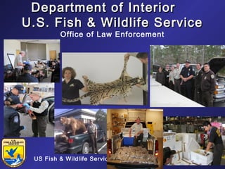 Department of Interior
U.S. Fish & Wildlife Service
Office of Law Enforcement

US Fish & Wildlife Service

11/19/13

 