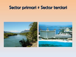 Sector primari ≠ Sector terciari 
