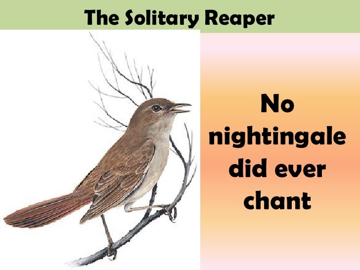 solitary reaper Ebscohost serves thousands of libraries with premium essays, articles and other content including a stylistic analysis of william wordsworth's the solitary reaper. solitary reaper Ebscohost serves thousands of libraries with premium essays, articles and other content including a stylistic analysis of william wordsworth's the solitary reaper.