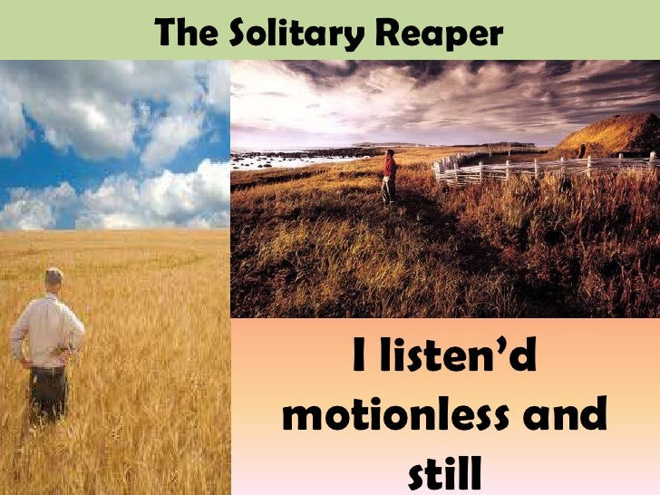 The Solitary Reaper