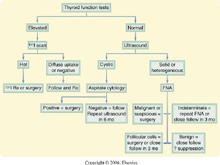 Hot nodule thyroid