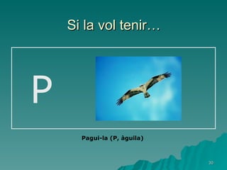 Si la vol tenir… P  Pagui-la (P, àguila) 